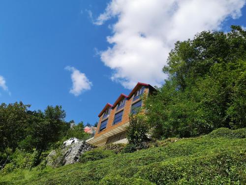 里泽LİMCORA DAĞEVLERİ&BUNGALOW的山边的房子