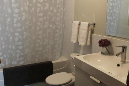 贾斯珀落基山脉宝石酒店的浴室配有卫生间、盥洗盆和淋浴。