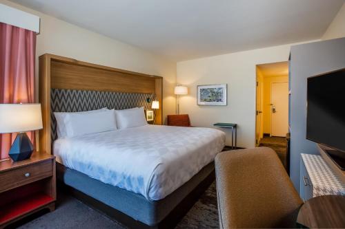 格尔夫波特格尔夫波特机场假日酒店的配有一张床和一台平面电视的酒店客房
