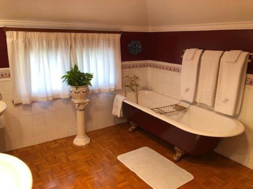 哈韦拉Grand On Victoria的一间带大浴缸和窗户的浴室