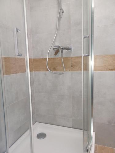 比亚韦斯托克APARTAMENTY CENTRUM Lipowa 16的浴室里设有玻璃门淋浴