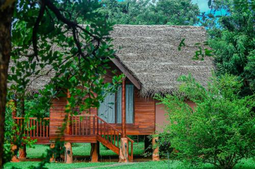 锡吉里亚锡吉里亚水屋旅馆的茅草屋顶的小型木屋