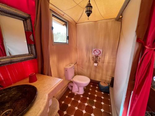 梅尔祖卡Sahara Luxury Tented Camp的一间带卫生间和水槽的小浴室