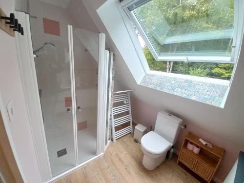 坎佩尔Duplex du Bois d'Amour的带淋浴和卫生间的浴室以及窗户。