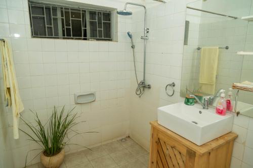 阿鲁沙Blue elephant villas的一间带水槽和淋浴的浴室