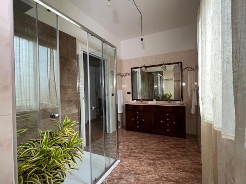 ThurioResort Amica的带淋浴、盥洗盆和镜子的浴室