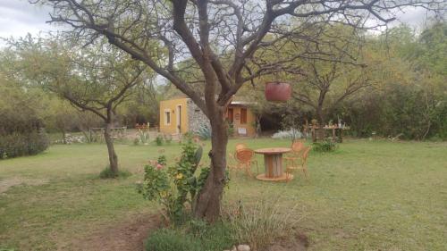 圣哈维尔Chañares的树旁院子内的桌椅