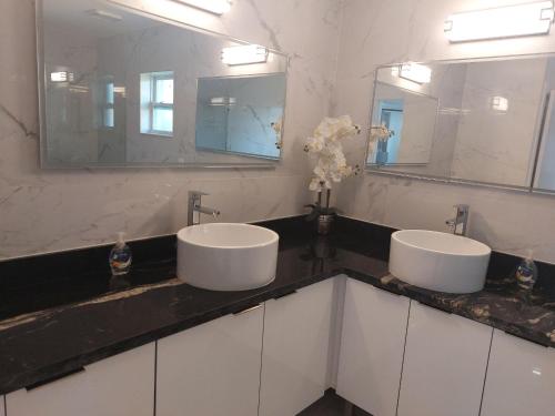 珊瑚角Cape Coral Mini Palace的浴室设有2个水槽和2个镜子