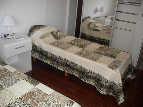 维拉卡洛斯帕兹乡村塔楼公寓的一间卧室配有两张床和镜子