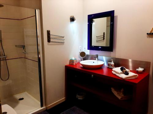 GauriacL'ESCALE DE BEL AIR Chambres d'hôtes的一间带水槽和淋浴的浴室