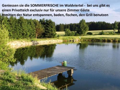 Kirchberg am WaldeSommerfrische Waldviertel的湖面画面,有船坞