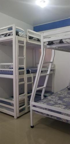 马尼拉Innsite Room Rentals的客房设有两张双层床和梯子