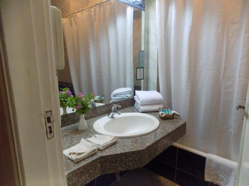 沙姆沙伊赫绿松石海滩酒店的一间带水槽和淋浴的浴室