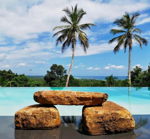 高尔Tabula Rasa Resort & Spa的一座拥有两块岩石和两棵棕榈树的游泳池