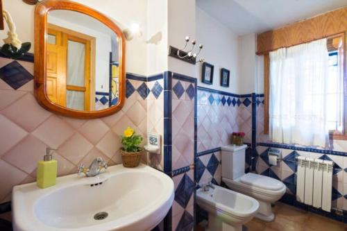 莫纳奇尔La Posada del Gato的一间带水槽、卫生间和镜子的浴室
