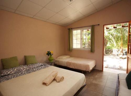 下博克特Gaia Lodge的一间卧室设有两张床和窗户。