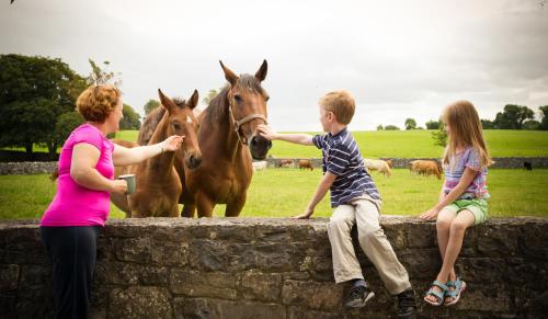 Newmarket on FergusCahergal Farmhouse B&B的看墙上马的男孩和两个女孩