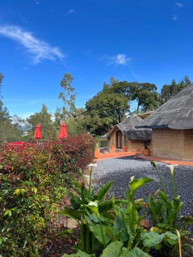 莱瓦镇MALOKAS AGUA VIDA & NATURALEZA的花园中带红伞的房子