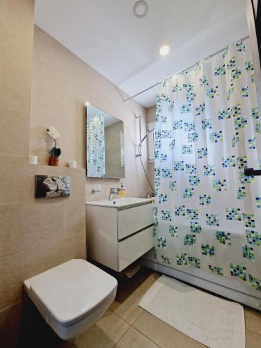 彼得罗沙尼Turquoise apartment的一间带卫生间和淋浴帘的浴室