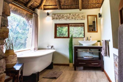 阿马卡拉保护区Woodbury Lodge – Amakhala Game Reserve的带浴缸和盥洗盆的浴室