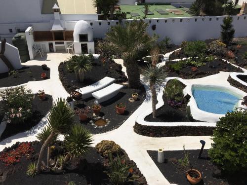 奥尔索拉Apartamentos Los Vientos (Apto 3)的一个带游泳池和棕榈树的户外花园