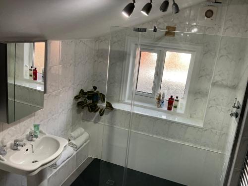 切斯特Park View的白色的浴室设有水槽和淋浴。