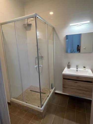 巴拉顿博格拉尔Villa Balifornia的带淋浴和盥洗盆的浴室