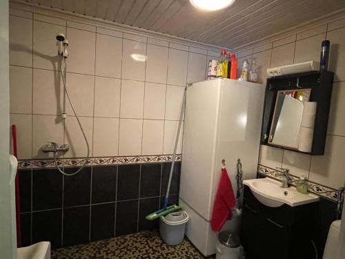 VuoriniemiVilla Mushroom的一间带水槽和冰箱的小浴室