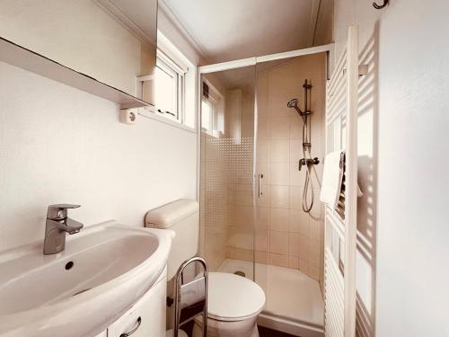 乌曼茨Regenbogen Suhrendorf的一间带水槽、卫生间和淋浴的浴室