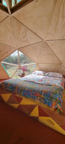 CurarrehueNido del Quetrupillan Domo Geodésico的帐篷内的一张床位,配有窗户