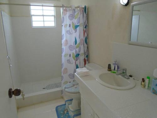 圣詹姆斯Simply Beautiful Two Storey home/apt awaits you的一间带水槽、卫生间和淋浴的浴室