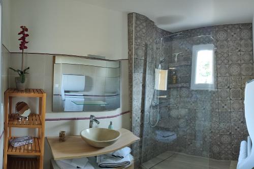 GranaceVilla U Tramontu的一间带水槽和淋浴的浴室