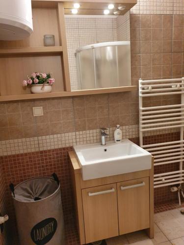 弗拉西克Vlašićka ruža Eko FIS 303的浴室设有水槽、镜子和垃圾桶
