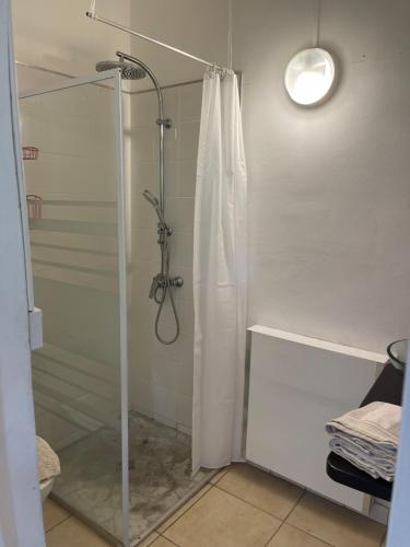 勒拉芒坦La Colline Business & Tourisme的带淋浴的浴室和玻璃门