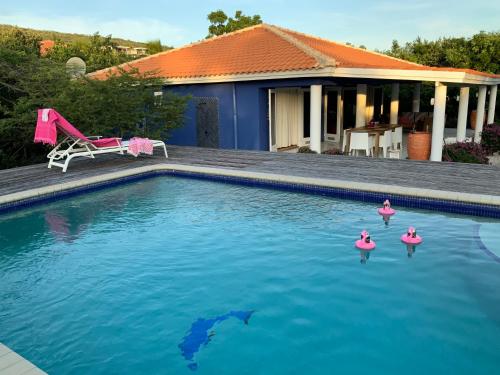 威利布罗德Villa 13, Coral Estate的水中带玩具火烈鸟的游泳池