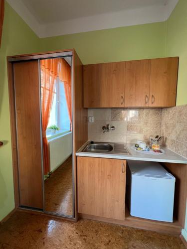 拉贝河畔乌斯季Penzion Greenstar的一间带水槽和冰箱的小厨房