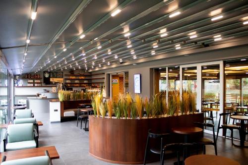 乔尔卢迪旺乔尔卢酒店的一间设有桌椅的餐厅,种植了植物