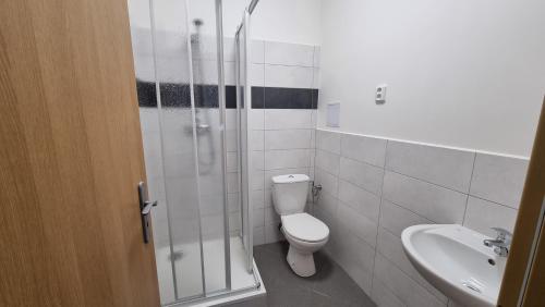 俄斯特拉发Hotel Rada的浴室配有卫生间、淋浴和盥洗盆。