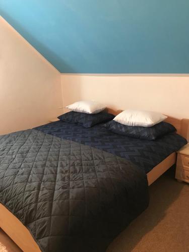 拉夫纳格拉Apartman Bosco的一间卧室配有一张带两个枕头的床