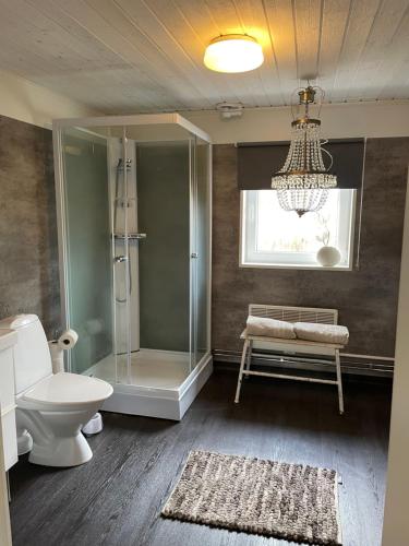 奈舍Ruth & Iris Cottage的带淋浴和卫生间的浴室以及吊灯。