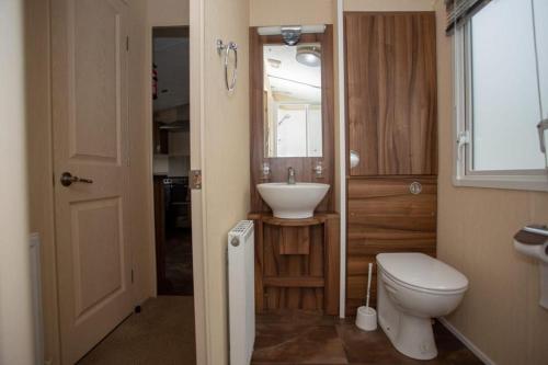 南塞尔尼Willow View - Hoburne Cotswolds Holiday Park的一间带卫生间和水槽的小浴室