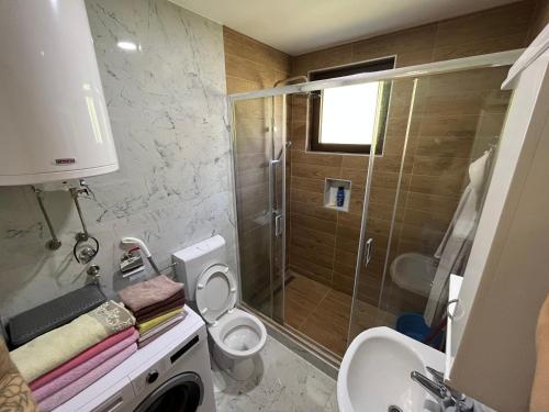 伊万尼察Vila Mana的带淋浴、卫生间和盥洗盆的浴室