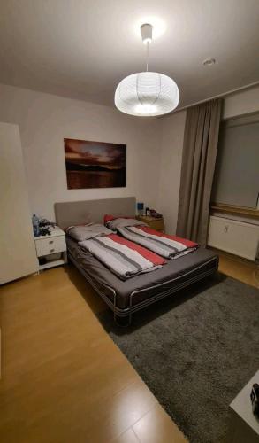 美因河畔法兰克福Apartment im Zentrum的一间卧室配有一张大床和光线