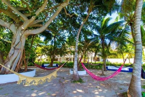 格兰德岛Hotel Cocoliso Island Resort的海滩上棕榈树上两张吊床