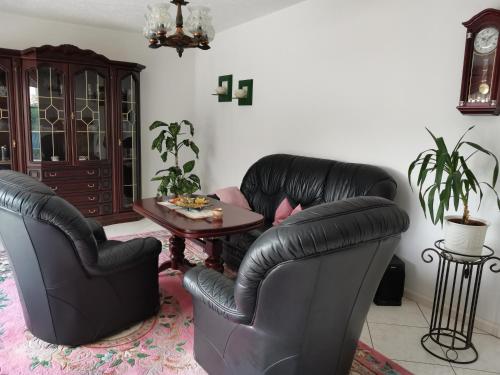 PotzlowFerienhaus Frank的客厅配有两张真皮座椅和一张桌子
