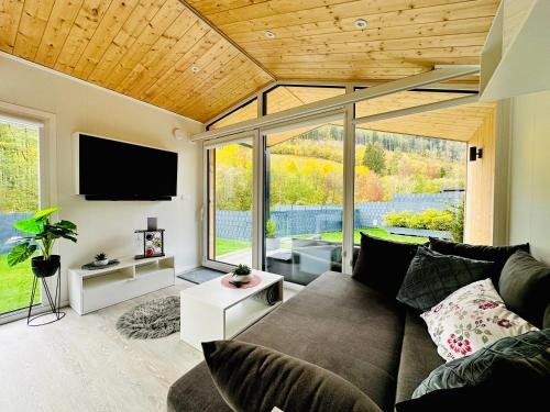 TraisenVoralpen Lodge - Ferienhaus mit Gym, Sauna & Hot Tub的带沙发和平面电视的客厅