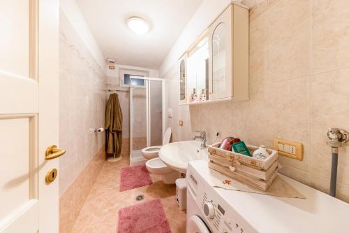 博萨迪法萨Ciasa Tach的浴室配有盥洗盆、卫生间和淋浴。