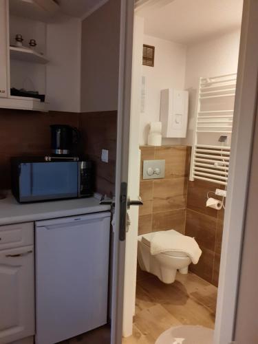 米兹多洛杰Beach House的一间带卫生间和水槽的小浴室
