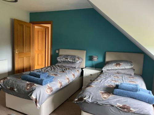 蒙特罗斯Hen Pen的蓝色墙壁客房的两张床