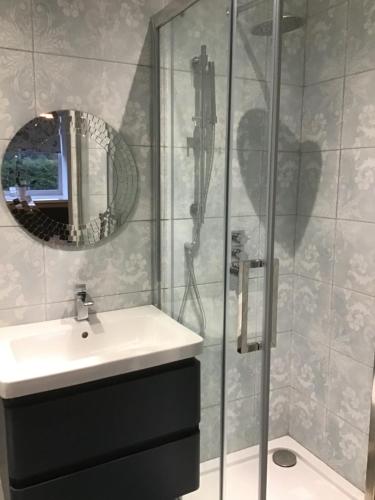 杜伦Warlands Farm Guest House的浴室配有盥洗盆和带镜子的淋浴